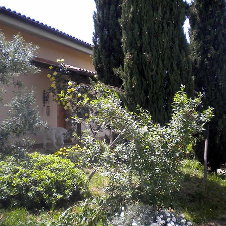 مبيت وإفطار فيانو رومانو Le Tre Querce المظهر الخارجي الصورة