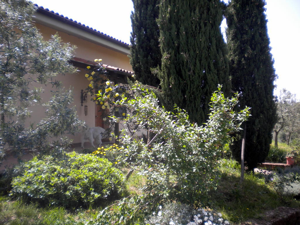 مبيت وإفطار فيانو رومانو Le Tre Querce المظهر الخارجي الصورة